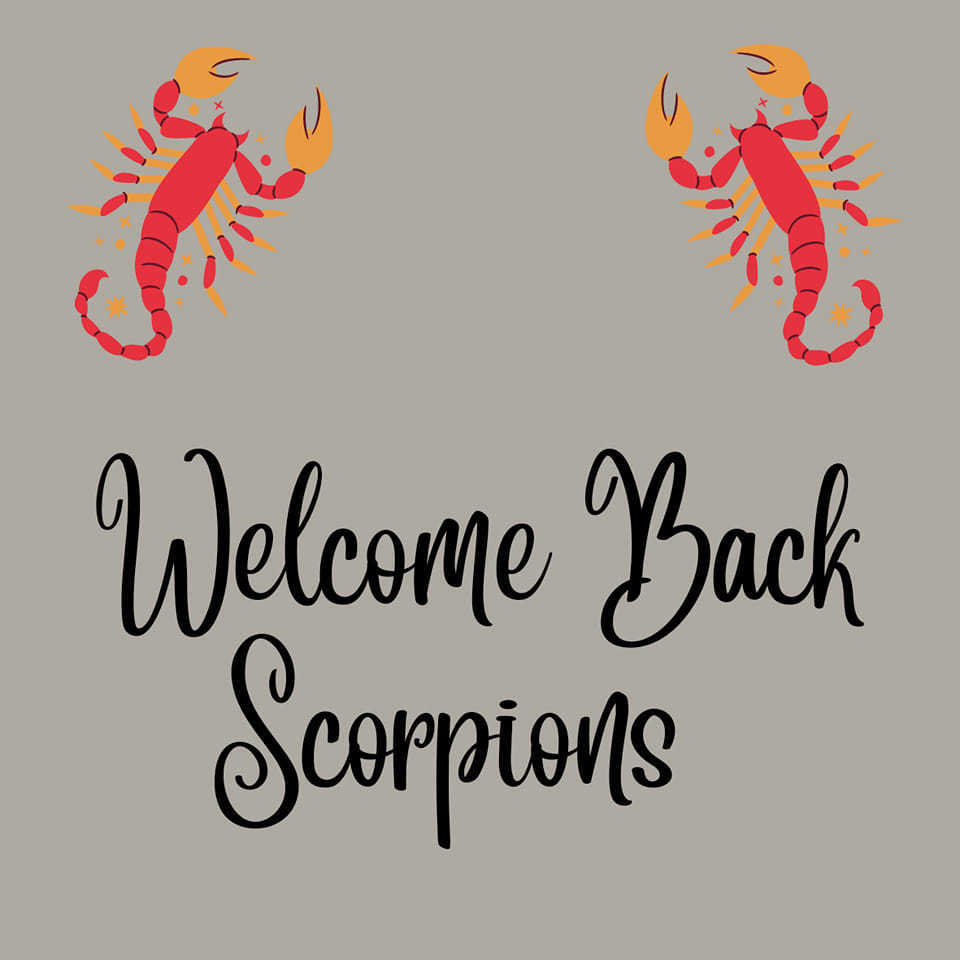 Welcome Back Scorpions Text on gray background with scorpions behind 